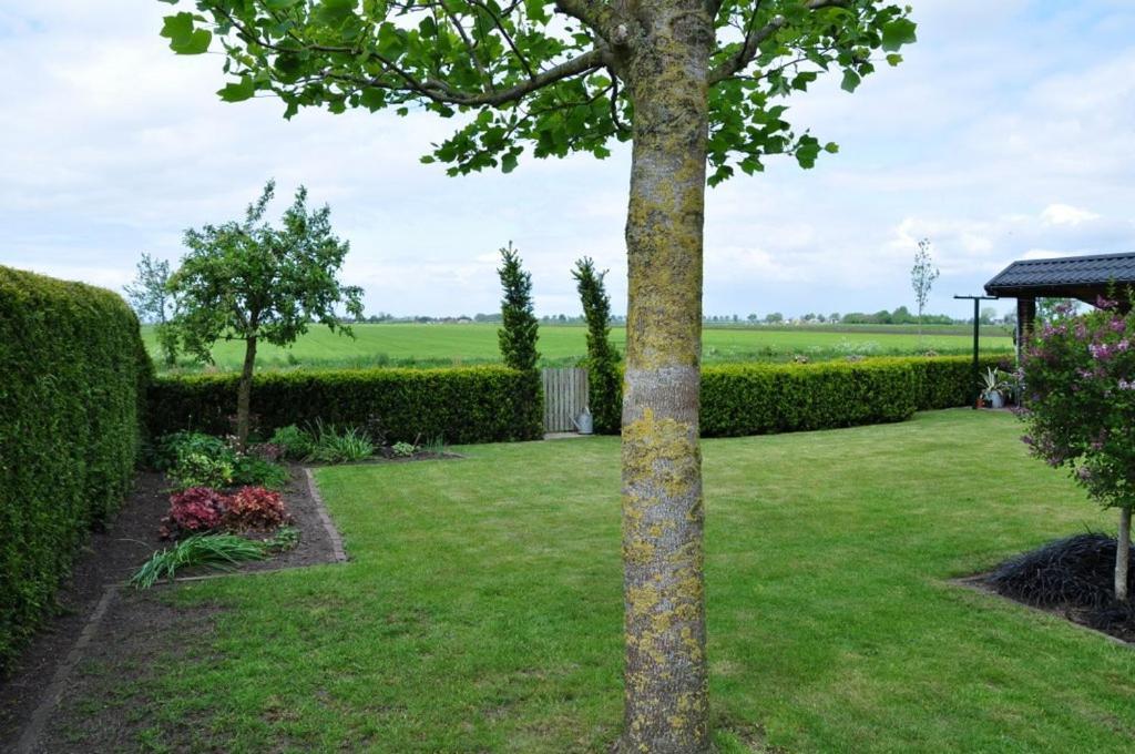Beukenlaan Bed and Breakfast Rouveen Eksteriør billede
